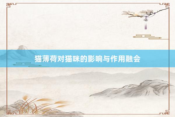 猫薄荷对猫咪的影响与作用融会